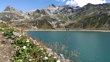 Il panoramico sentiero che dalla diga di Monte Spluga conduce in paese, ricco di fiori e animali al pascolo